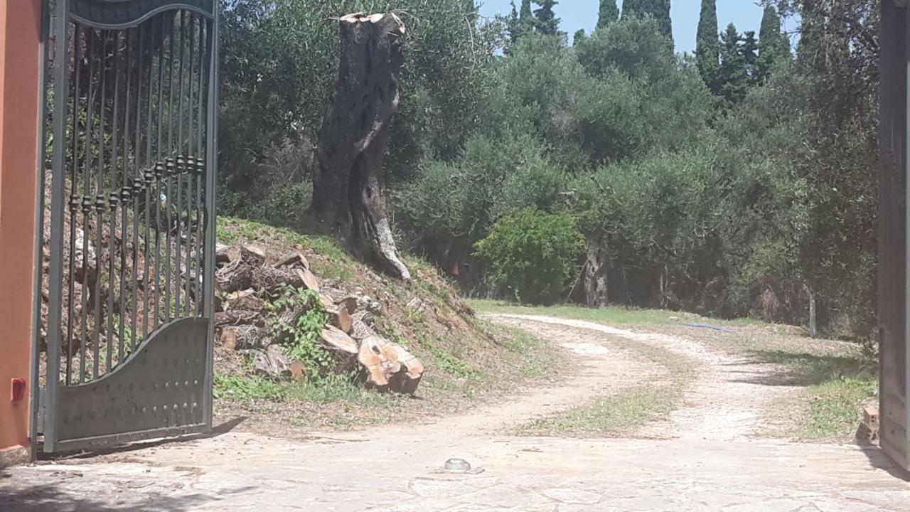 Bella Vista Διαμέρισμα Κάτω Κορακιάνα Εξωτερικό φωτογραφία