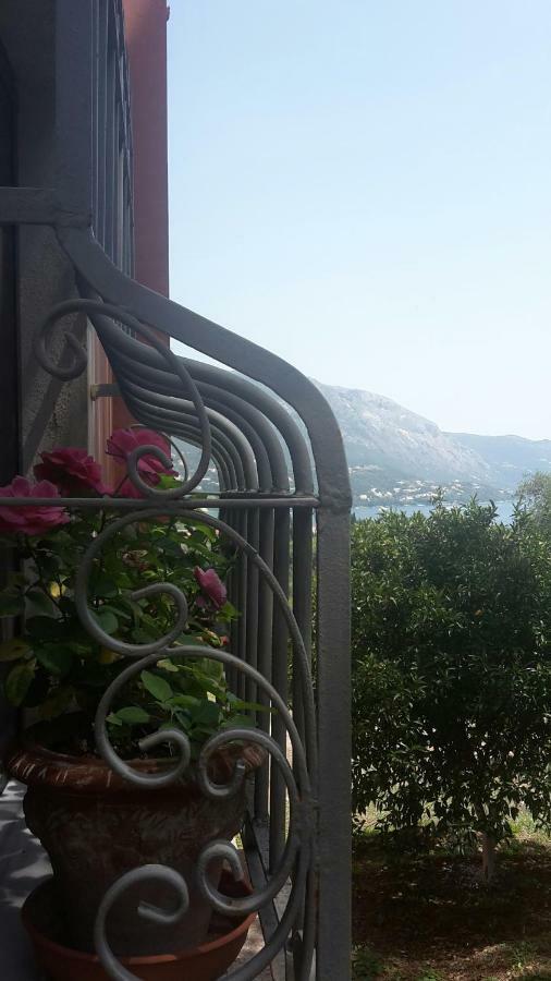 Bella Vista Διαμέρισμα Κάτω Κορακιάνα Εξωτερικό φωτογραφία